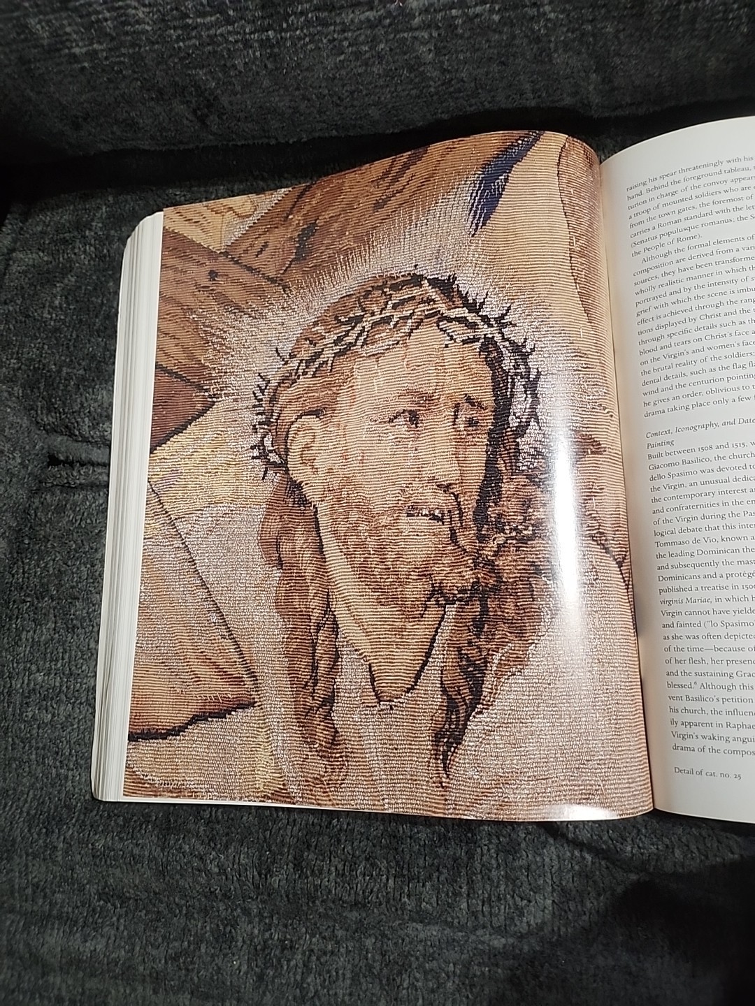 Tapestry in the Renaissance : Art and Magnificence by Thomas P. Campbell (2006,