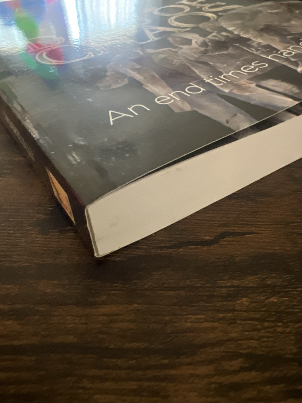 DAYS OF CHAOS: An End Times Handbook By: L. A. Marzulli, Paperback 2015 Signed!