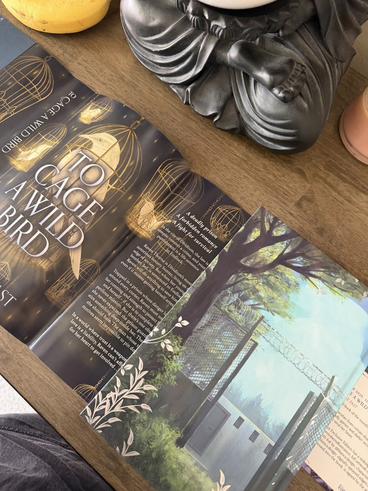 To Cage A Wild Bird By Brooke Fast Fairyloot Edition Signed