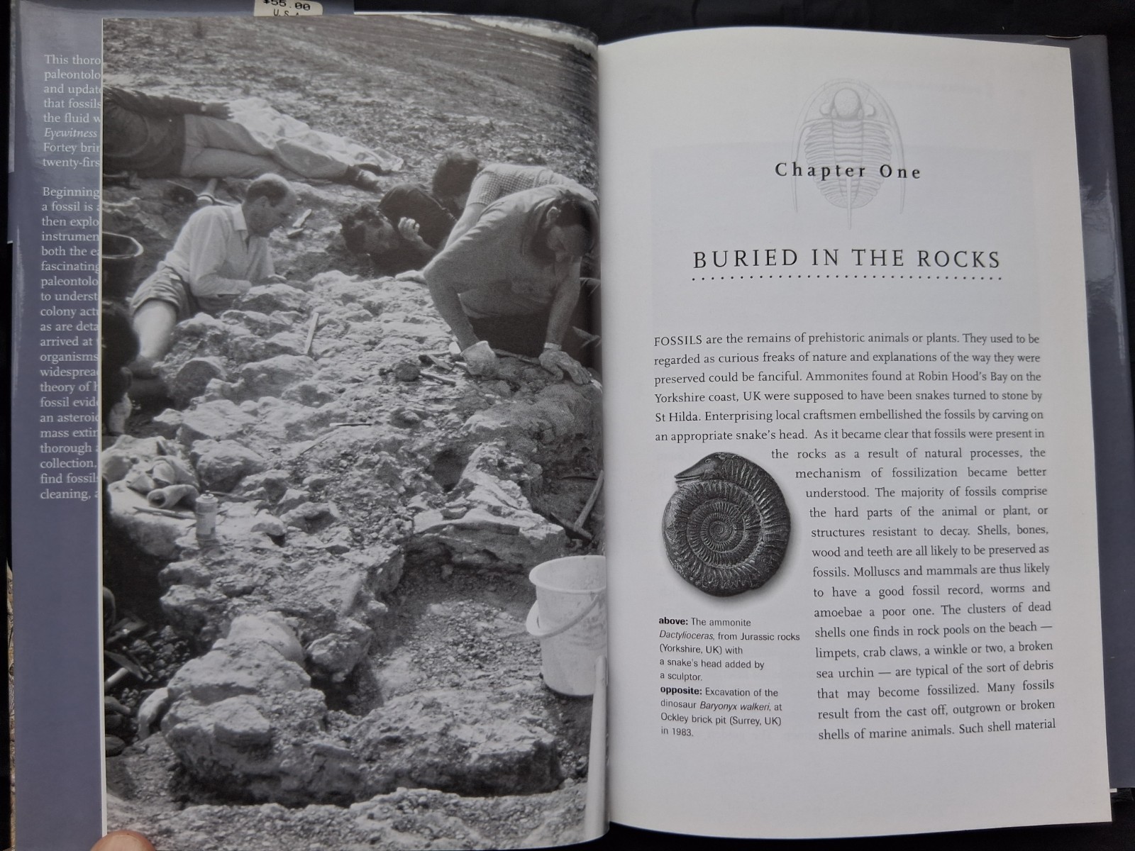 Fossils: The Key to the Past, hardcover book, by Richard Fortey