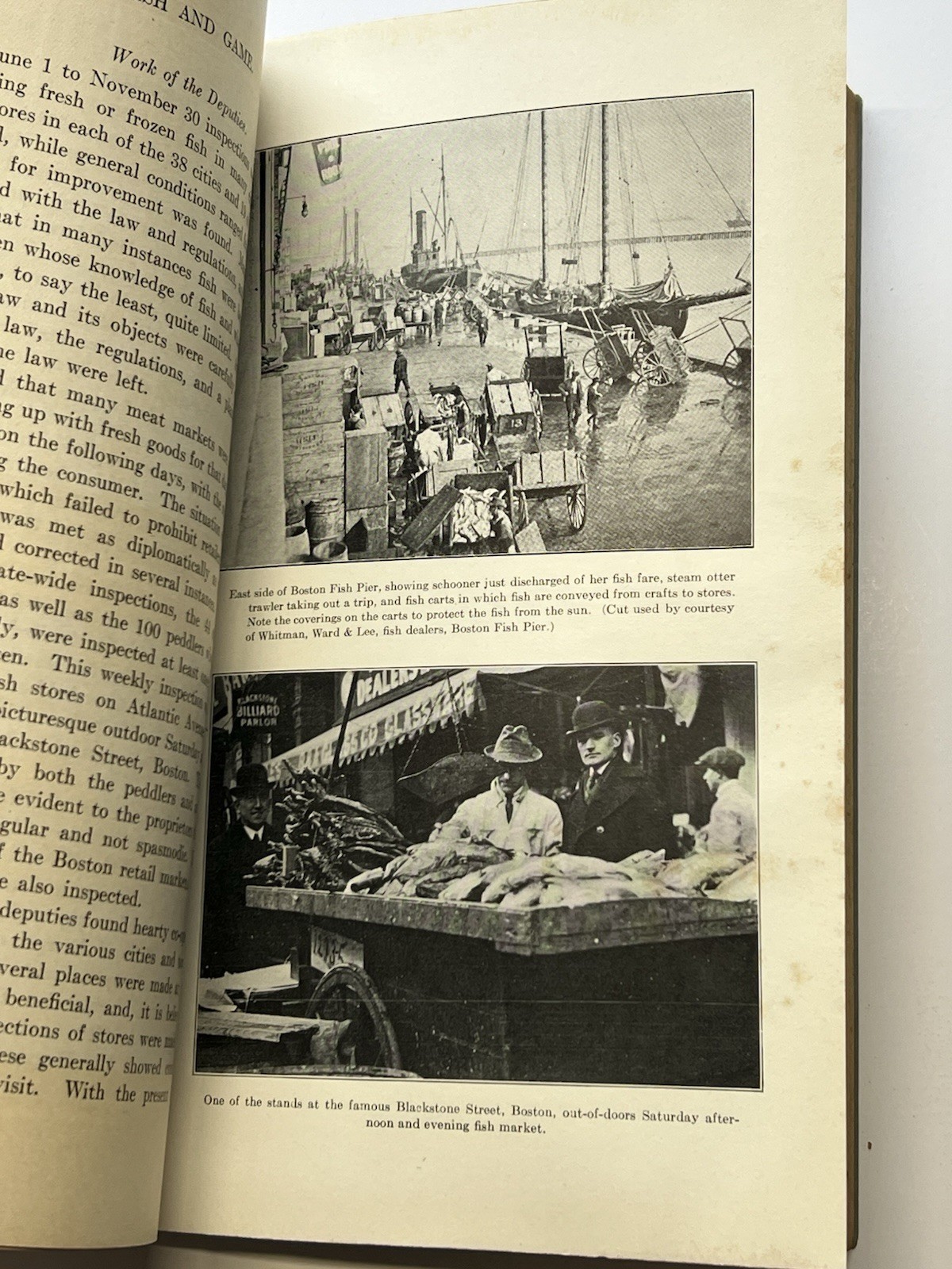 1921 Annual Report of the Division Of Fisheries And Game Boston, MA SC Book 526