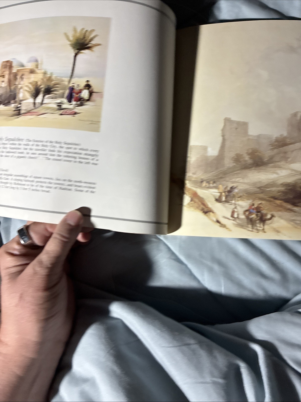 David Roberts (1796-1864), ‘THE HOLY LAND I LOVE ‘ (Palphot, 1980) softcover