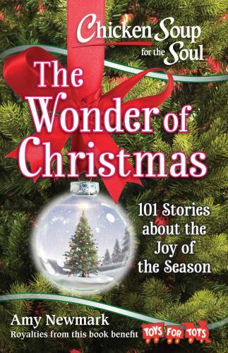 Chicken Soup for the Soul: The Wonder of Christmas: 101 Stories abou – VERY GOOD