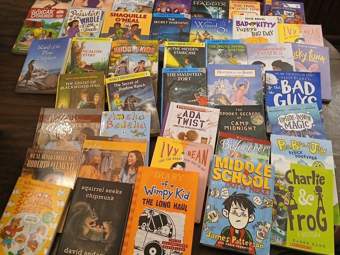 30 Chapter Books For Young Readers Mixed/Random Lot