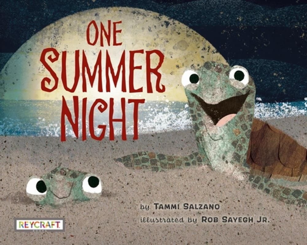 One Summer Night by Tammi Salzano (English) Hardcover Book