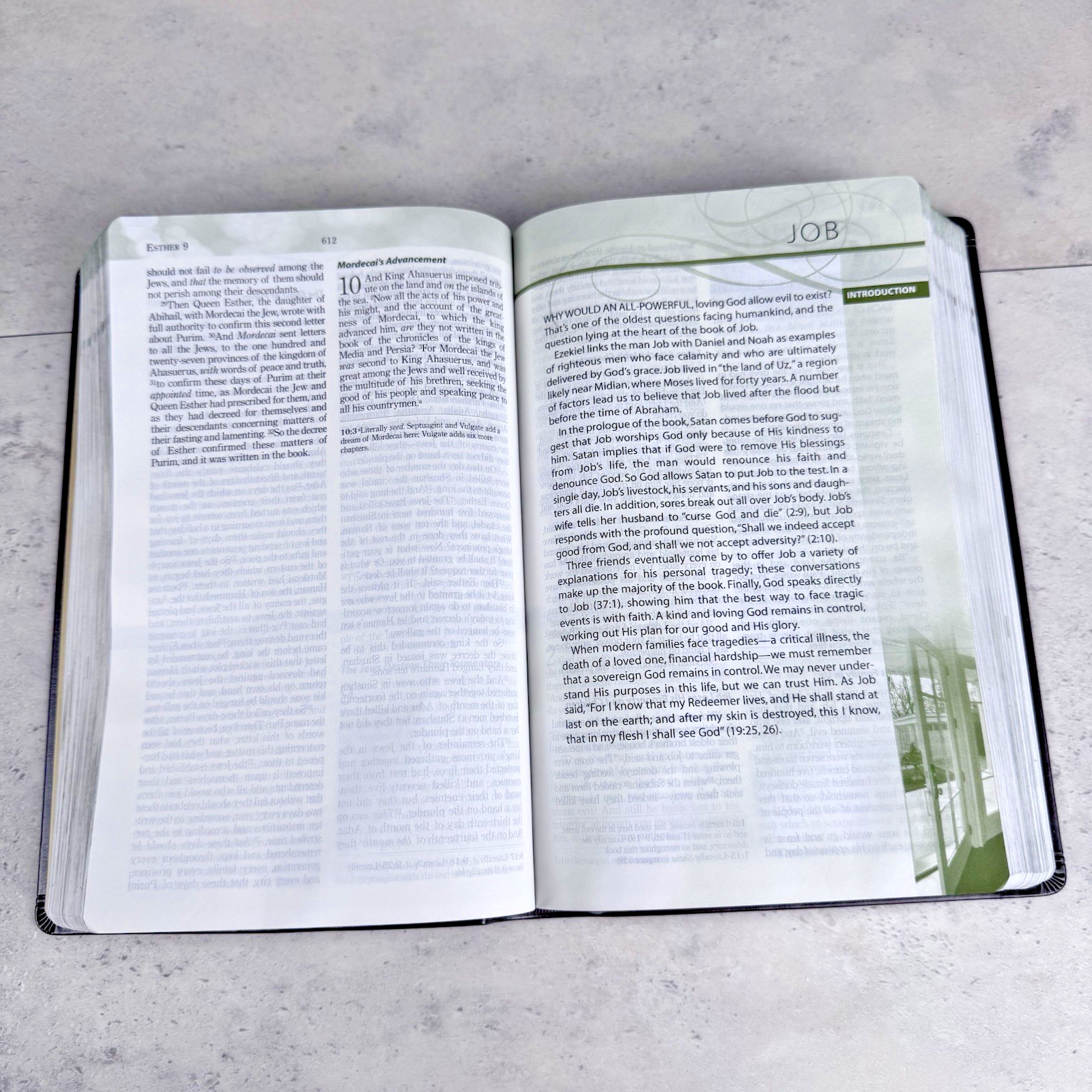 Family Life Marriage Bible NKJV Dennis & Barbara Rainey Holy Box Devotions