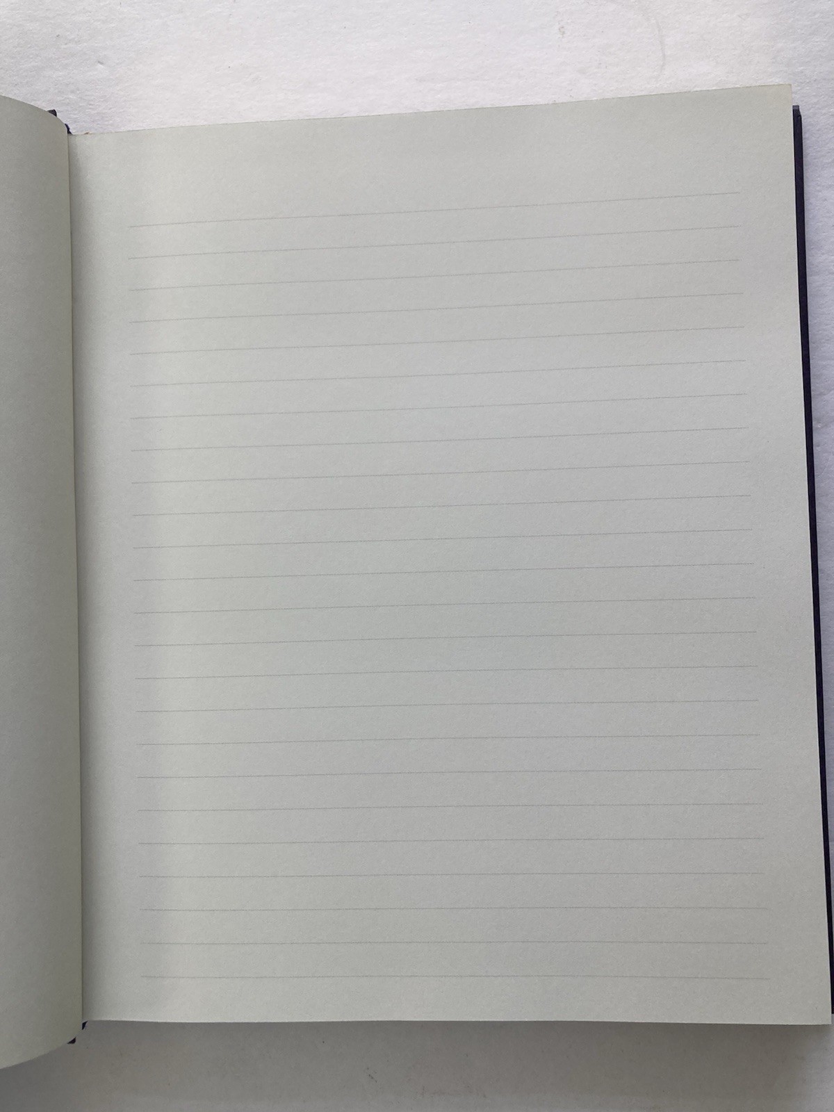 Versailles Journal (Notebook, Diary) Peter Pauper Press-192 Lined Pages