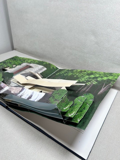 Frank Lloyd Wright in Pop-Up by Iain Thomson (2002, Book, Other)