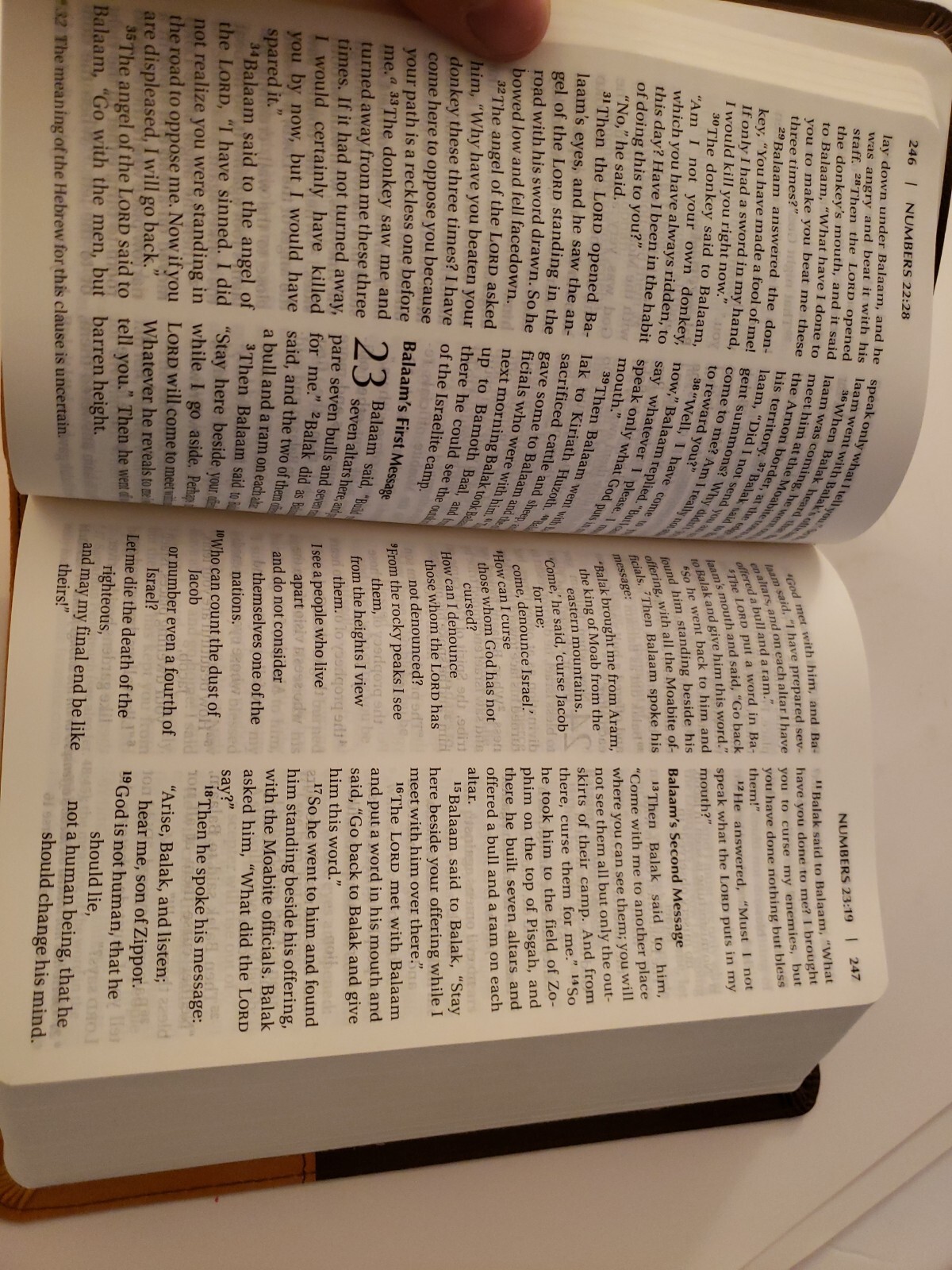 NIV LP Chocolate Amber Holy Bible Large Print