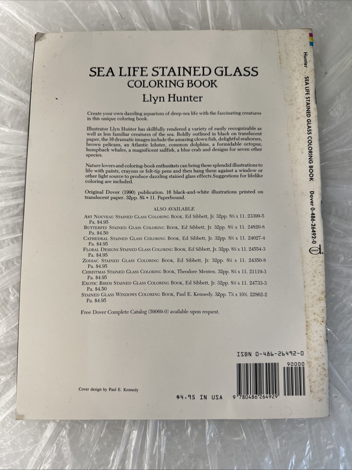 Dover Publications Stained Glass Color Book – Paperback, by Llyn Hunter – Good