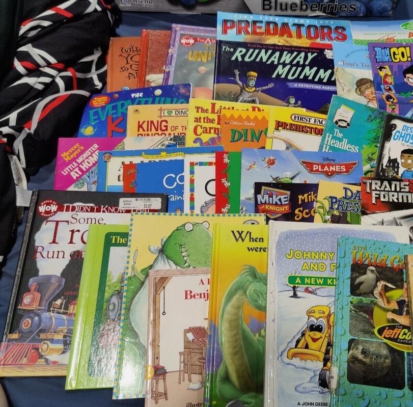Mixed Random Lot of 32 Books for Childrens Kids Babies Preschool Daycare Chapter
