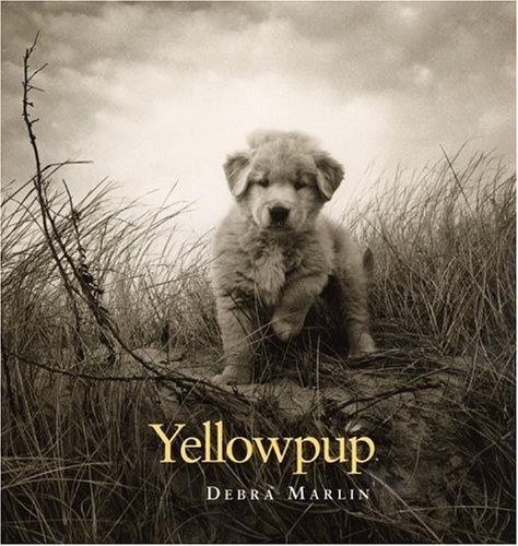 Yellowpup