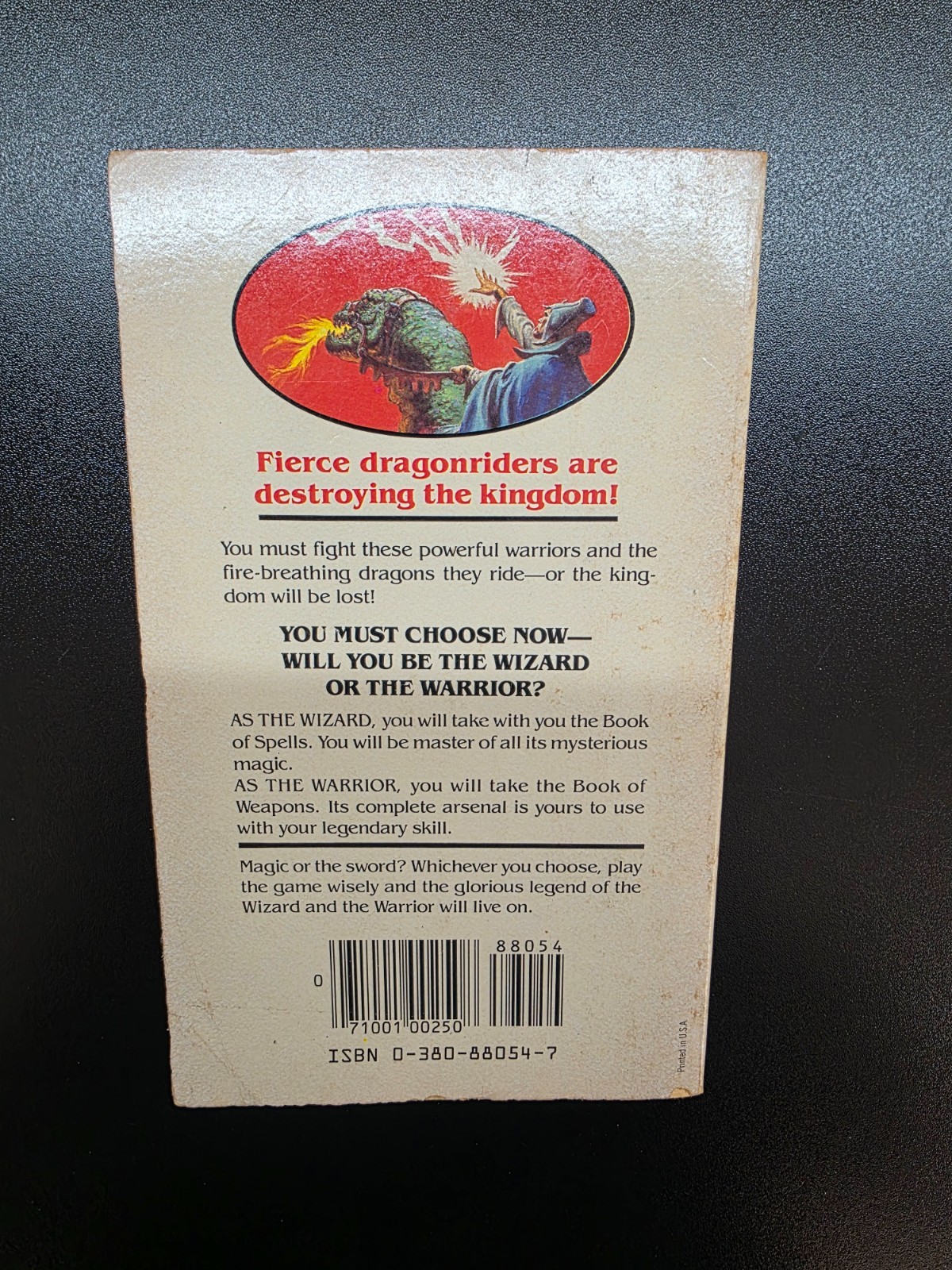 Wizards, Warriors and You Book #2 The Siege of the Dragonriders