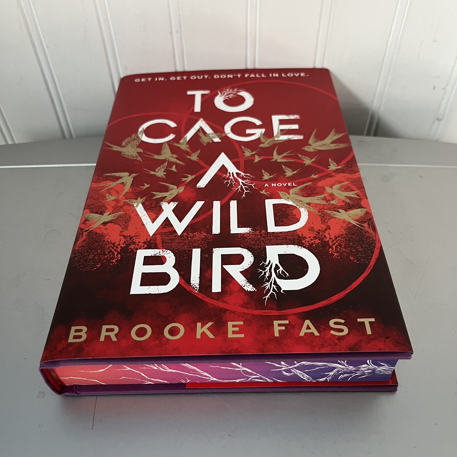 To Cage a Wild Bird by Brooke Fast Hardcover Book