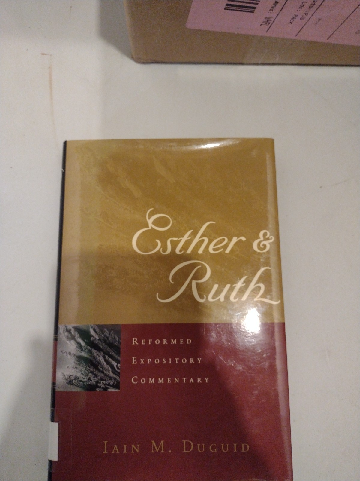 Esther and Ruth by Iain M. Duguid (2005, Hardcover)