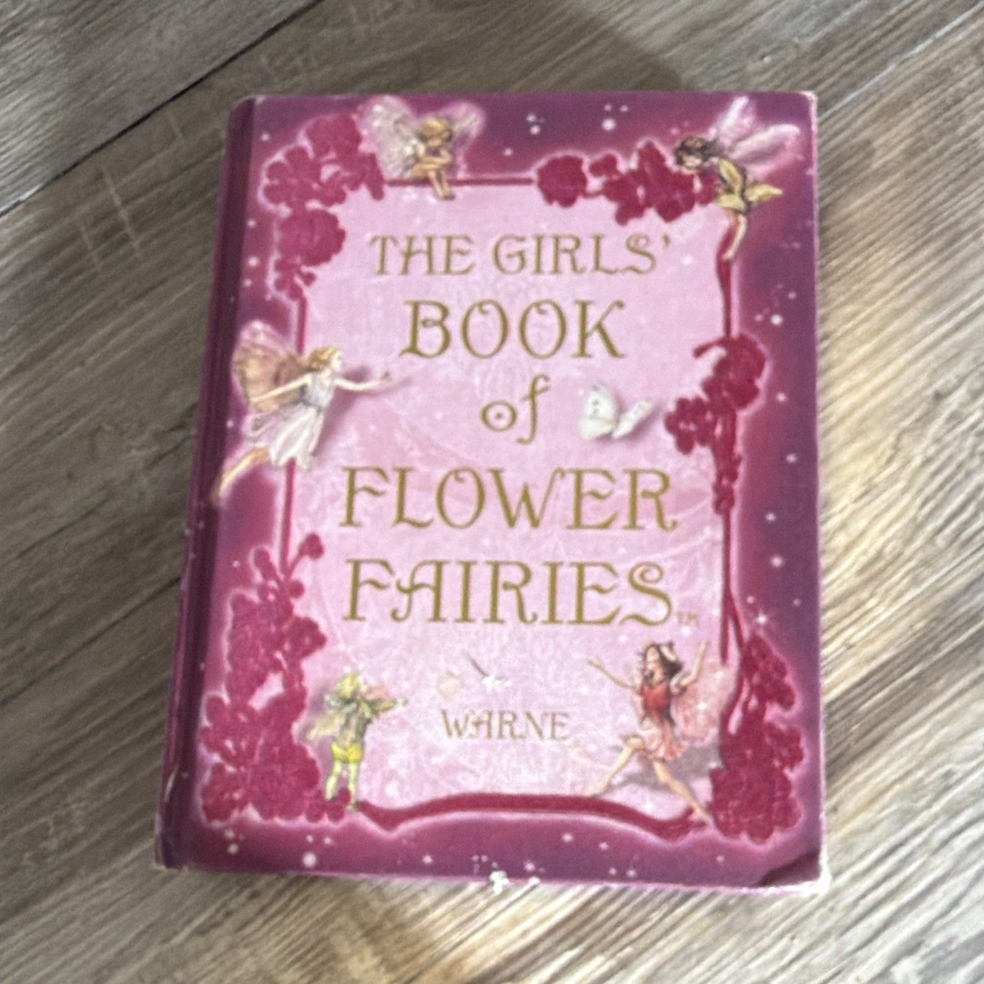 Warne The Girls’ Book of Flower Fairies Hardcover Book English Very Good