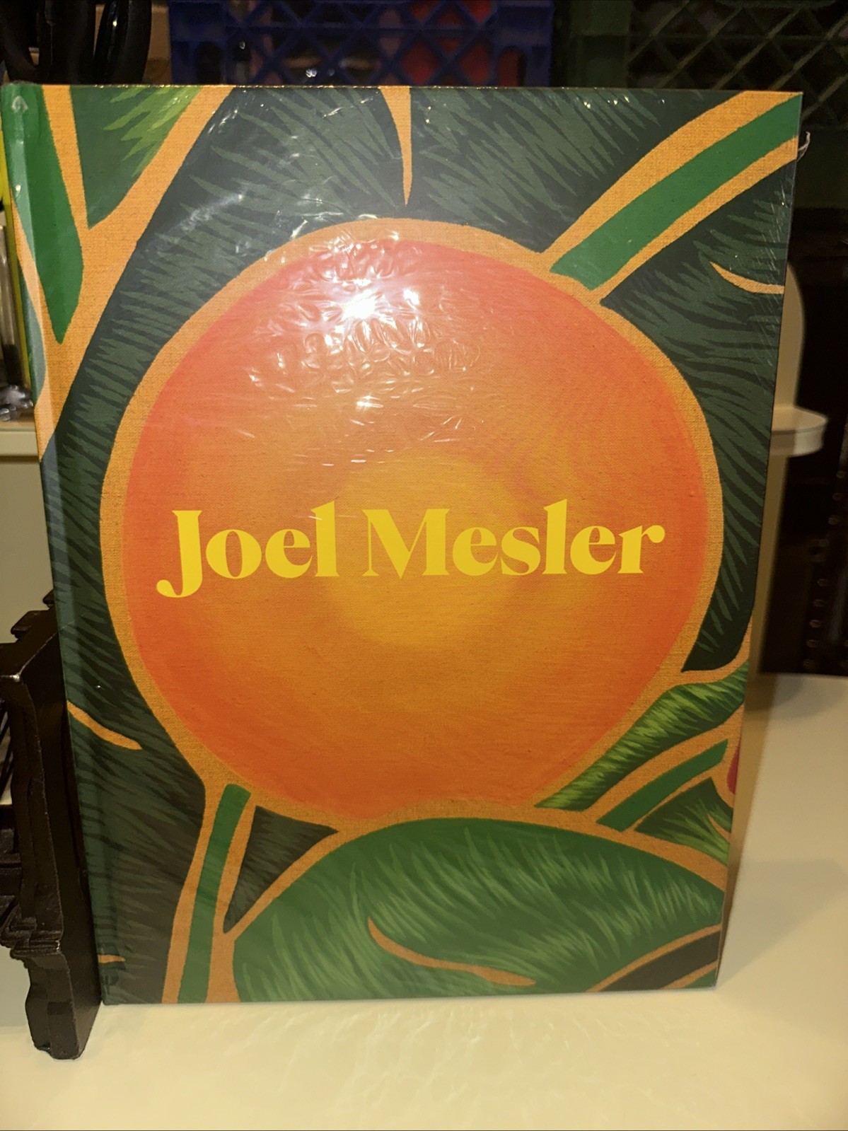 NEW SEALED JOEL MESLER HC COLLECTIBLE ART TABLETOP BOOK BL