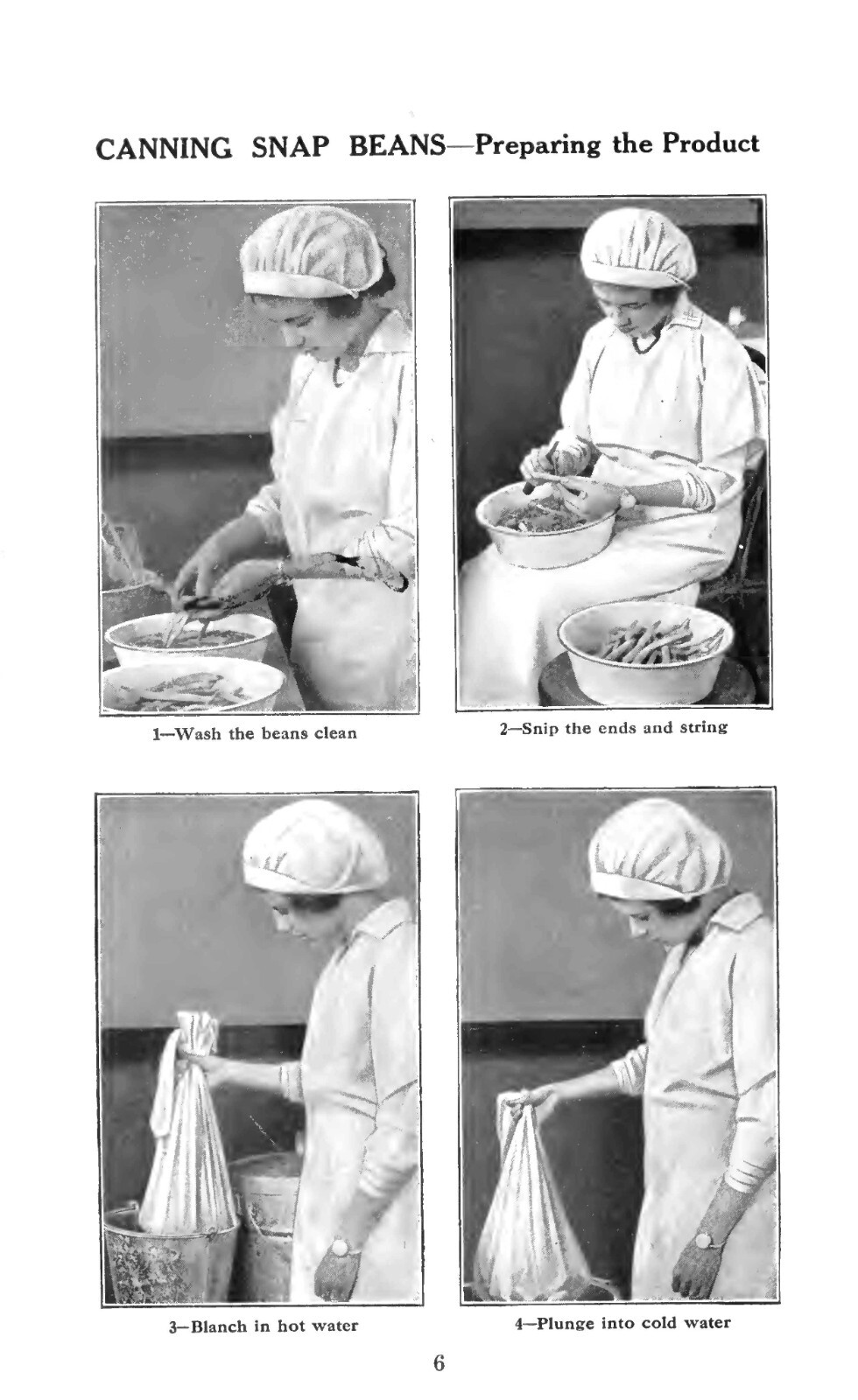 Home Canning By The Cold Pack Method 1917 (61 Pages)