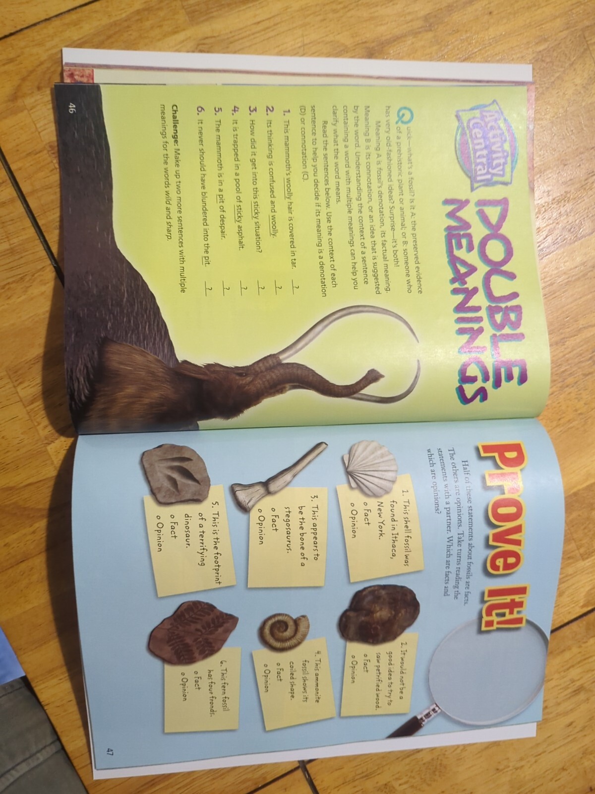 Journeys Ser.: Journeys : Reading Adventures Student Edition Magazine Grade 5 by
