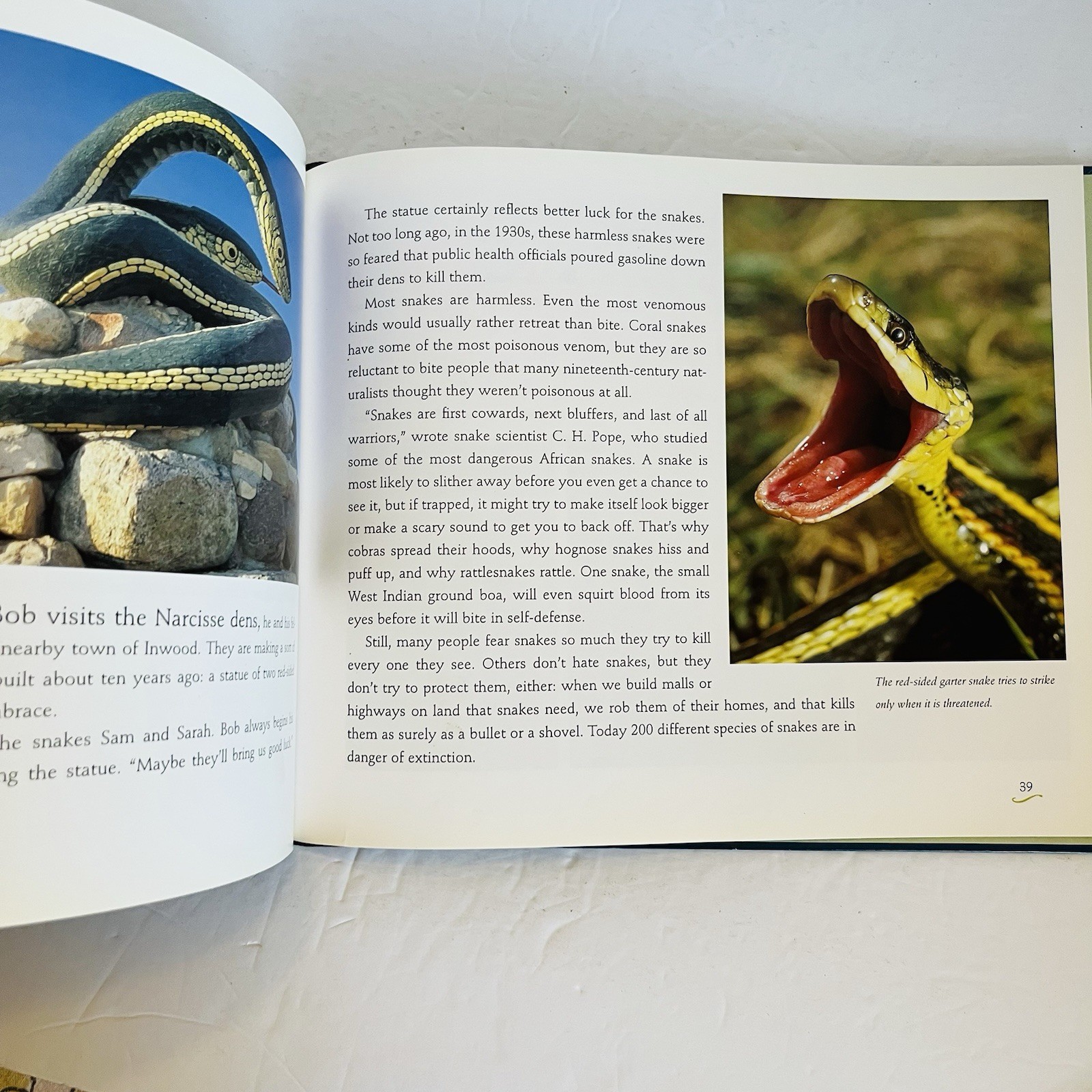 Lot 5 Reptile Amphibian Science Books Snake Turtle STEM Classroom Library