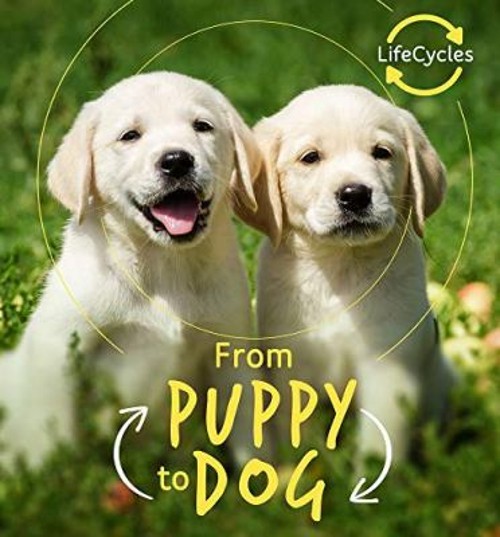 Puppy to Dog Camilla de la Bedoyere