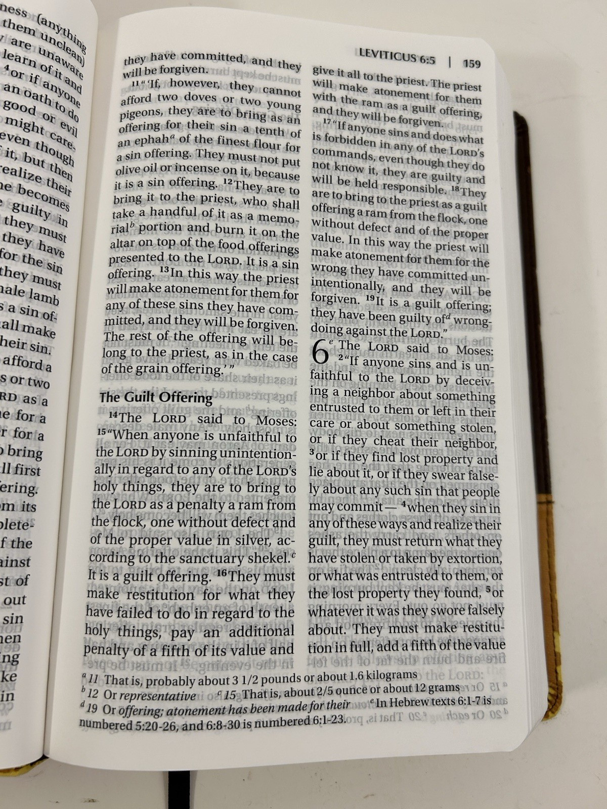 Holy Bible NIV Large Print Zondervan Italian Duo-Tone Leather