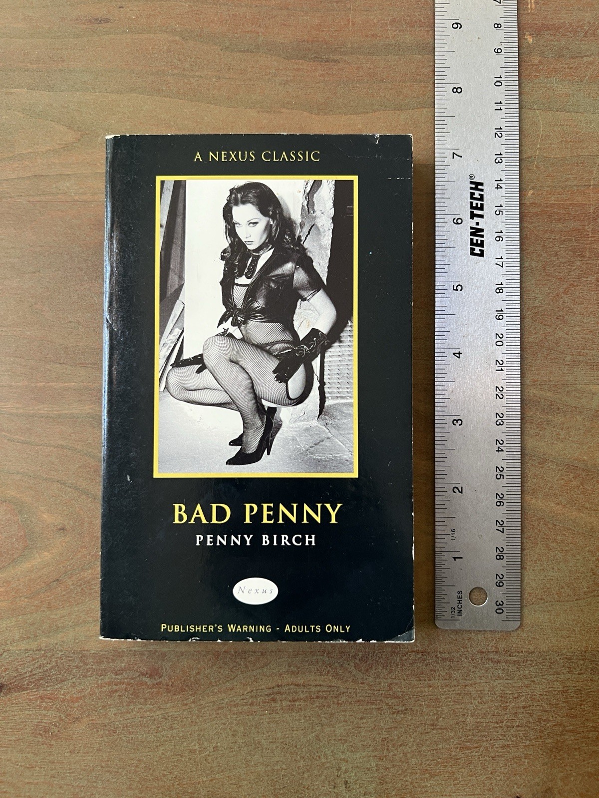 BAD PENNY (NEXUS) By Penny Birch