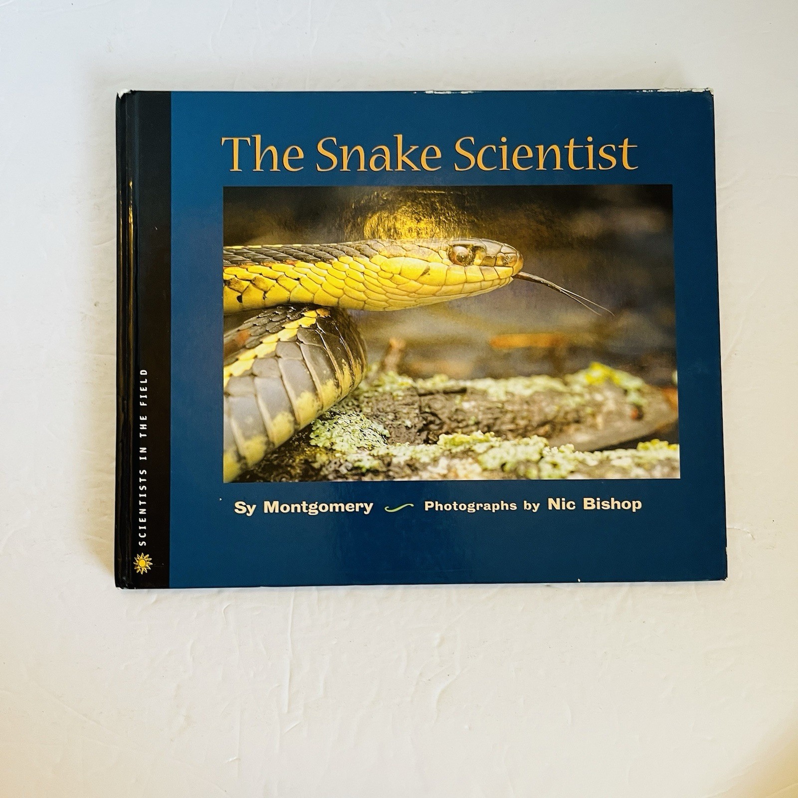 Lot 5 Reptile Amphibian Science Books Snake Turtle STEM Classroom Library