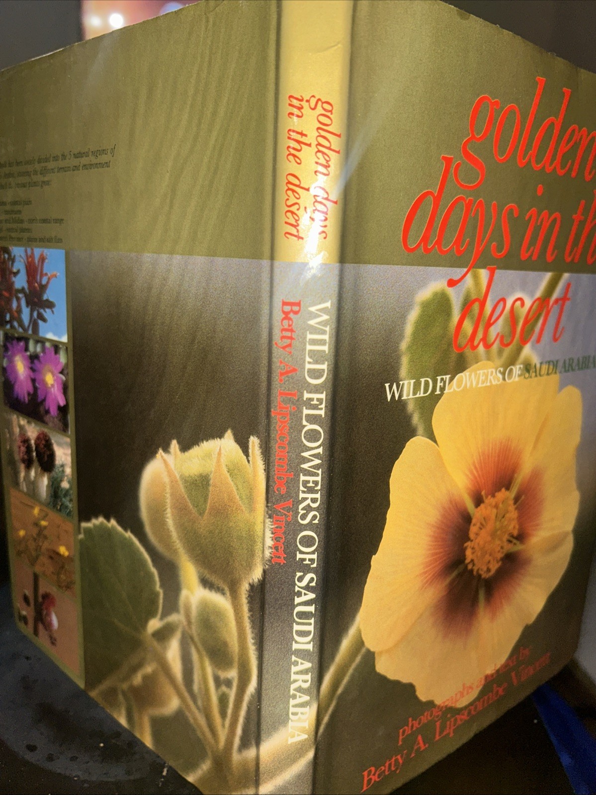 Golden Days in the Desert: Wild Flowers of Saudi Arabia
