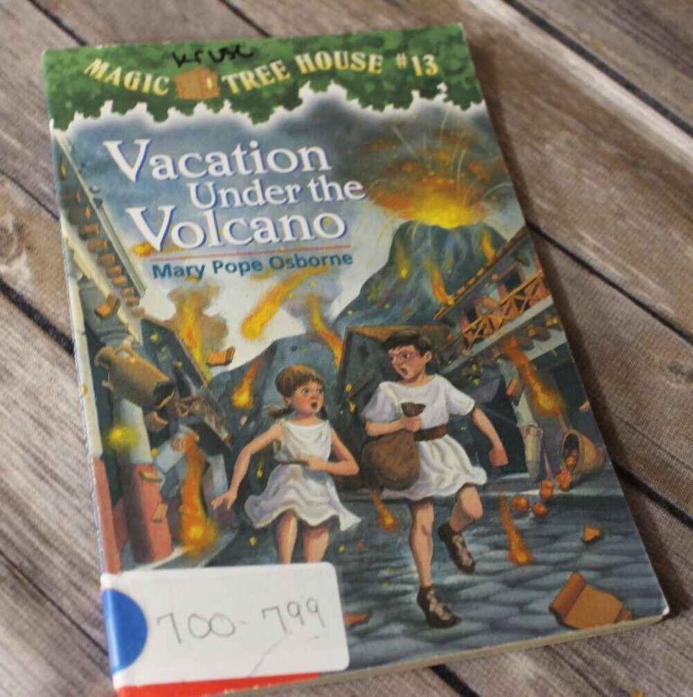 Magic Tree House Kids Books Create Your Own Set Paperback Chapter Books #2-#28