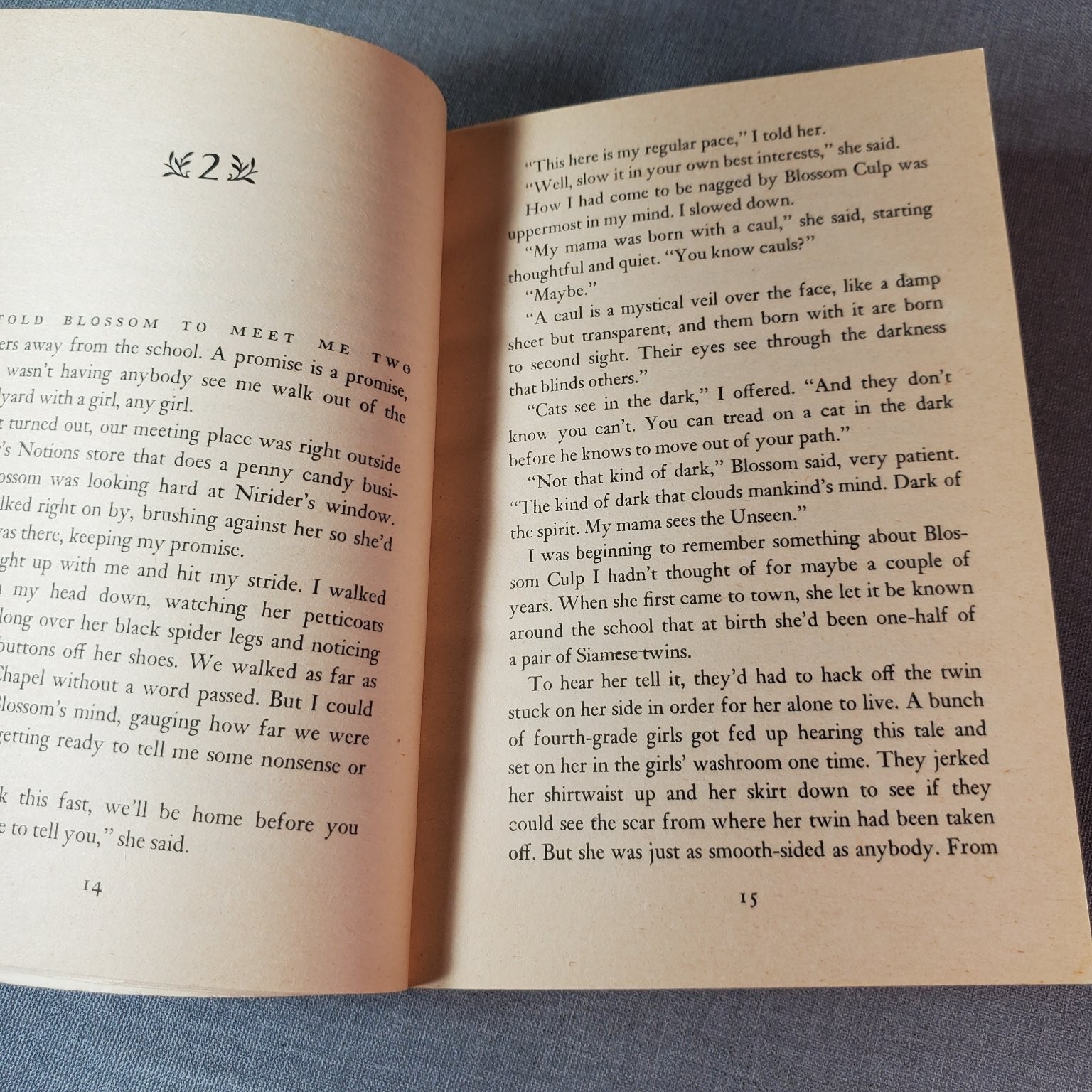 The Ghost Belonged to Me Richard Peck 1987 Reprint Dell Yearling Book