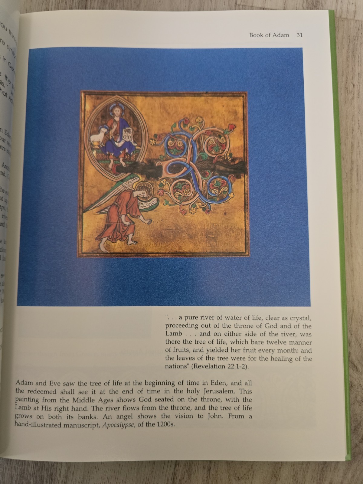 Genesis: Finding Our Roots By Ruth Beechick