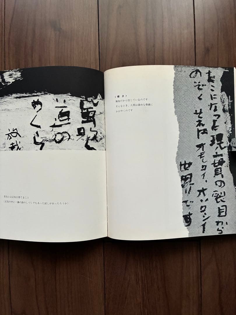 Roko Arai Works Collection Limited 300 Art Book calligraphy 24.5x21cm