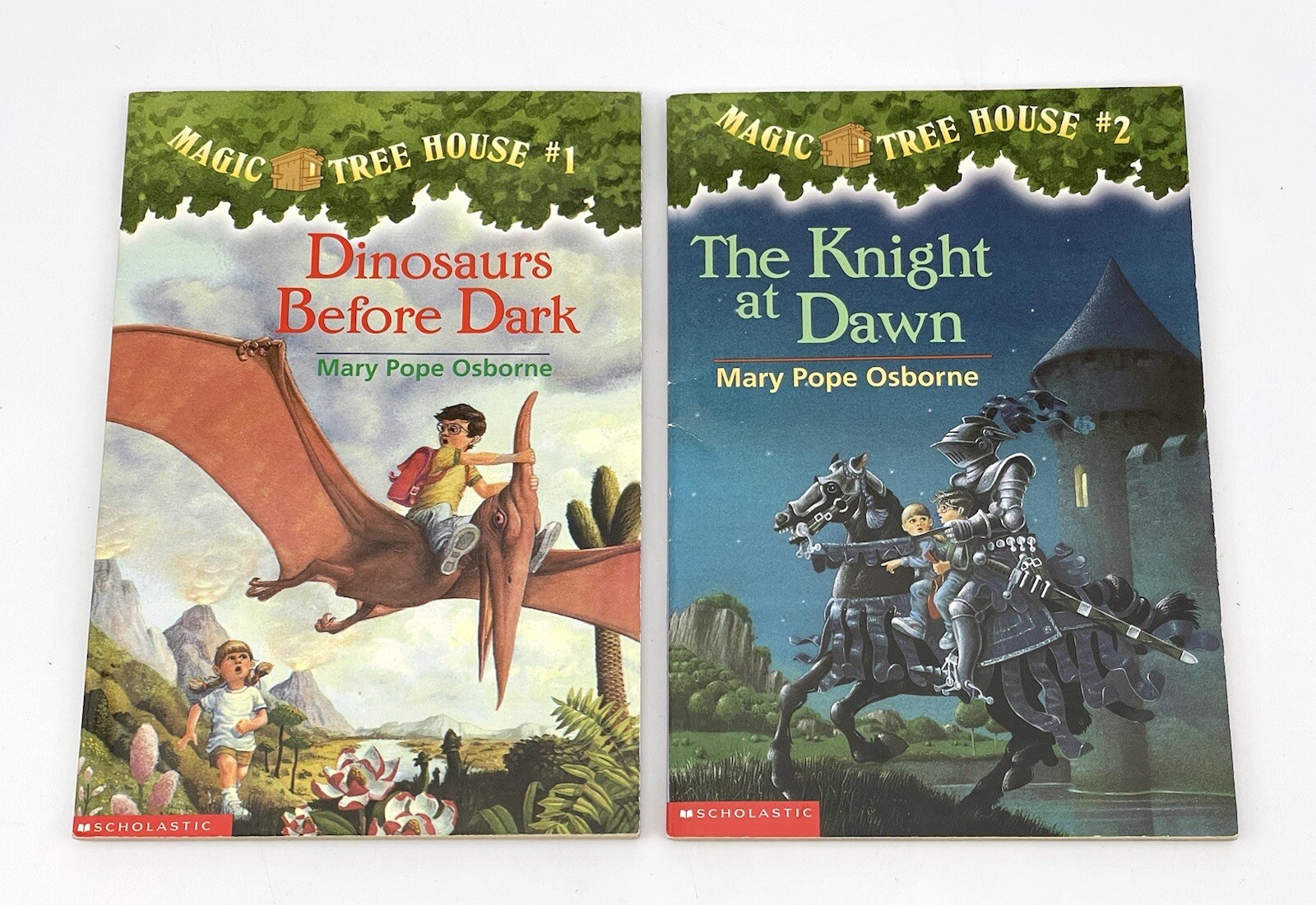 Lot 15 Magic Tree House Merlin Missions 1-5, 7-10, 20, 22, 24, 27, 29, 43 PB