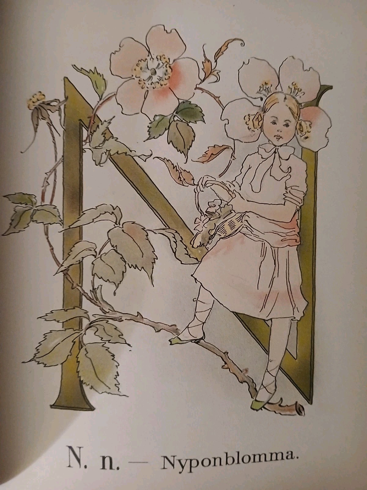 Antique Book Prinsarnes Blomsteralfabet HC 1892 Sweden Illustrated Alphabet