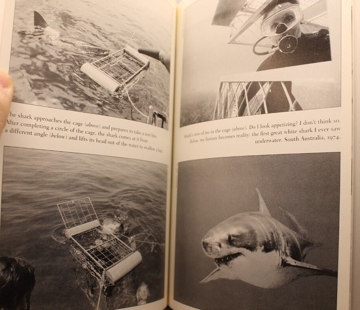 Shark Trouble by Peter Benchley Hardcover 2002 Attacks Great White Tiger Bull