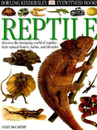 Reptile (Eyewitness) – Hardcover By McCarthy, Colin – GOOD