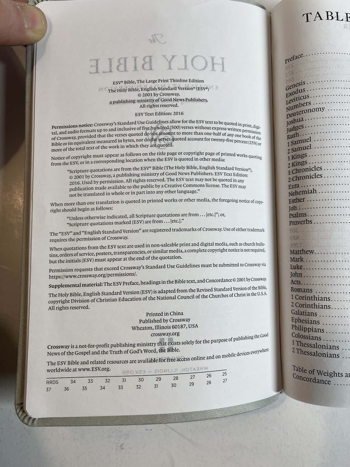 ESV Large Print Value Thinline Bible (Trutone, River Stone, Branch Design)