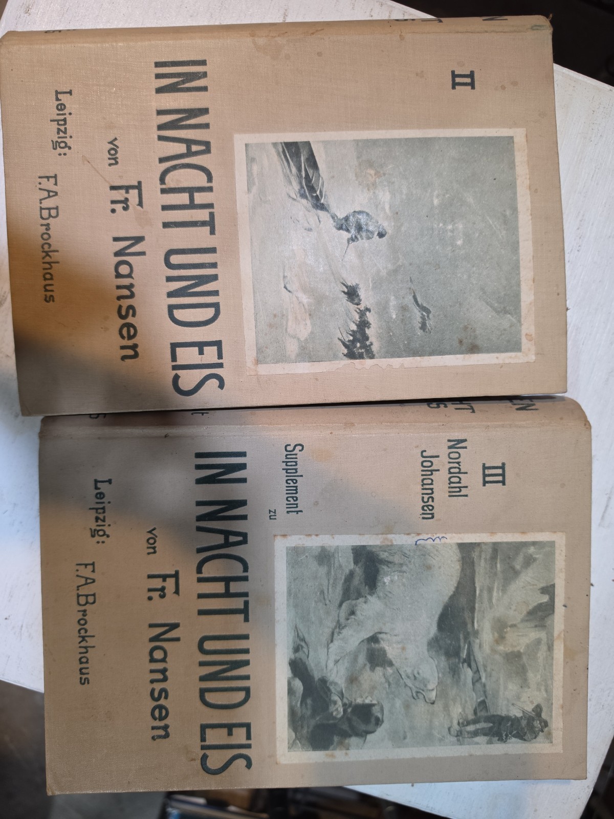 In Nacht und Eis Die norwegische Polarexpedition 1893-1896 Vol. I And II