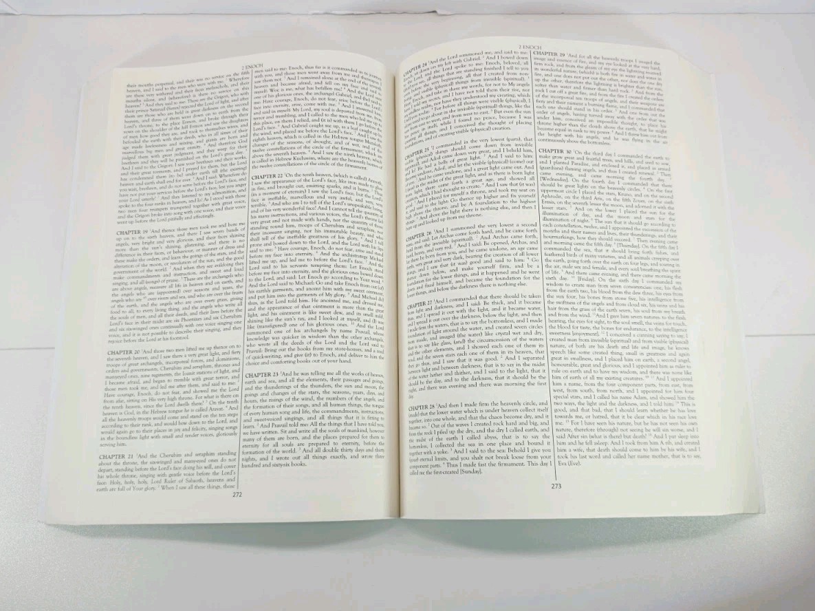 ETHIOPIAN BIBLE In English Complete 88 BOOKS W/ Ethiopian Illustrations