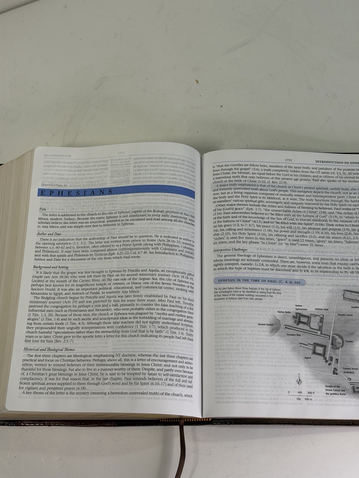 The MacArthur Study Bible ESV