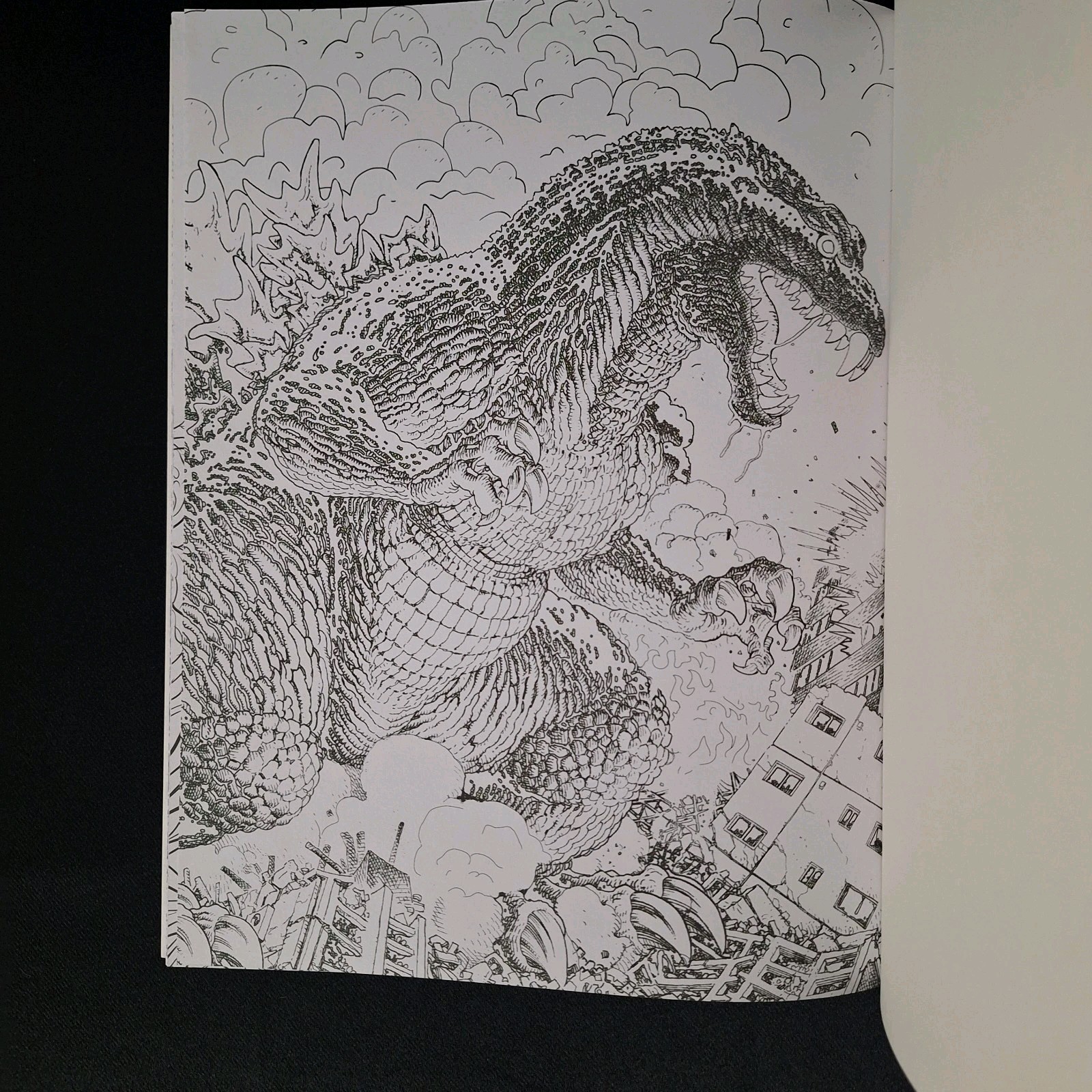 Godzilla: The Official Coloring Book Paperback Titan Books 62 Pictures 31 Pages