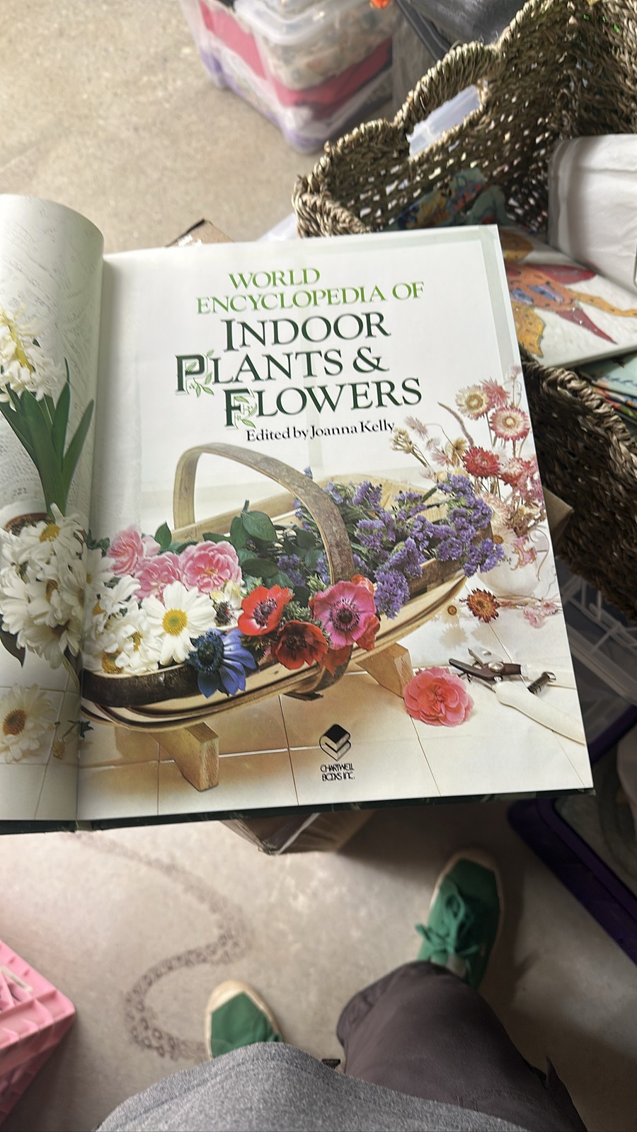 World Encyclopedia Of Indoor Plants & Flowers Joanna Kelly 1977 HC
