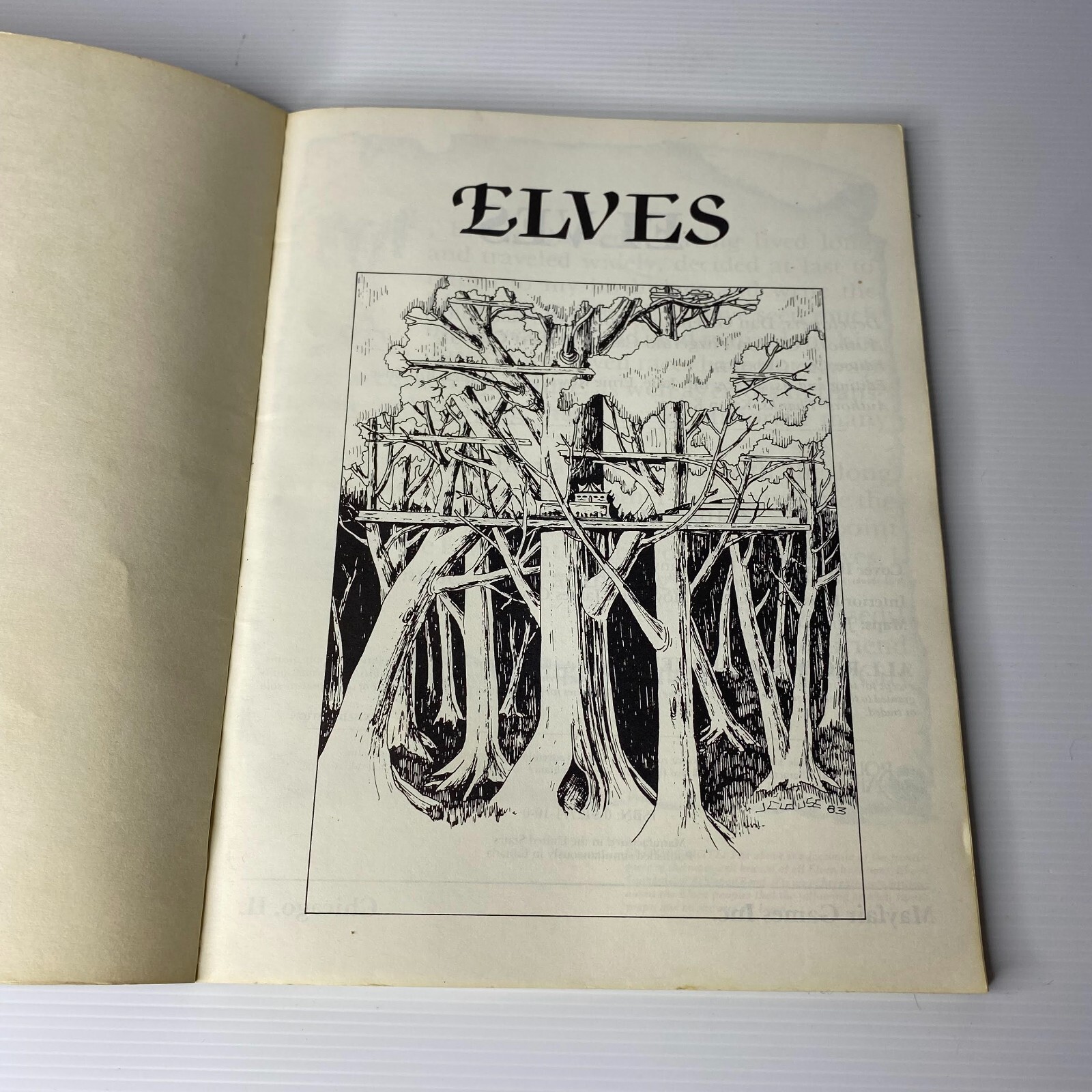 Elves. Advanced Dungeons & Dragons by Cheron Fitzgerald, Del…