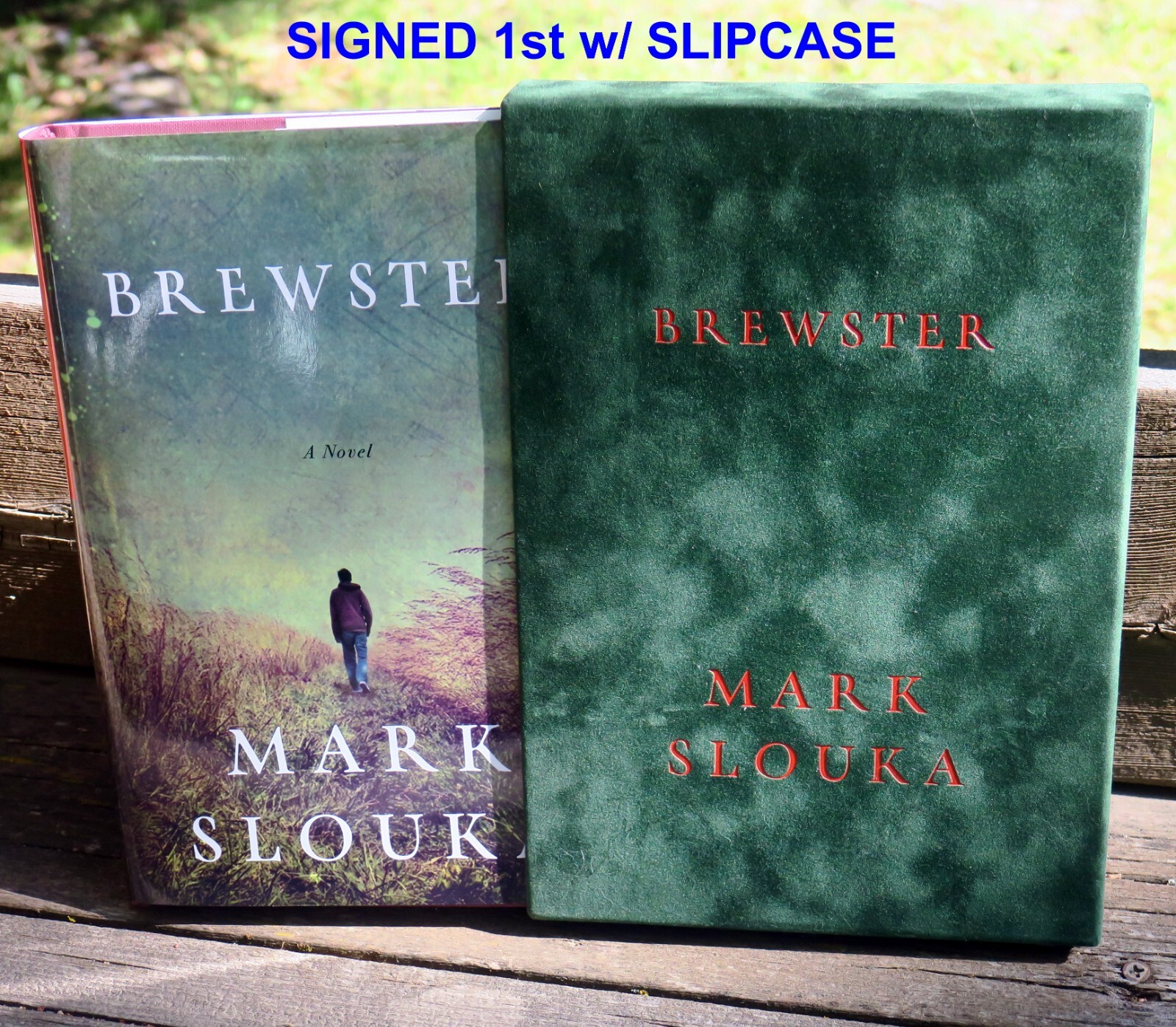 SIGNED 1st Slipcase~ BREWSTER: A NOVEL by Mark Slouka ~ Booklist Editors’ Choice
