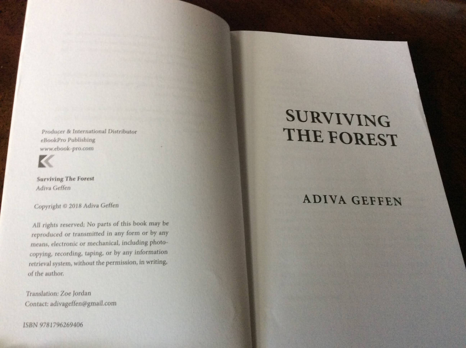 Surviving The Forest A Novel by Adiva Geffen (2018 Paperback) Like New