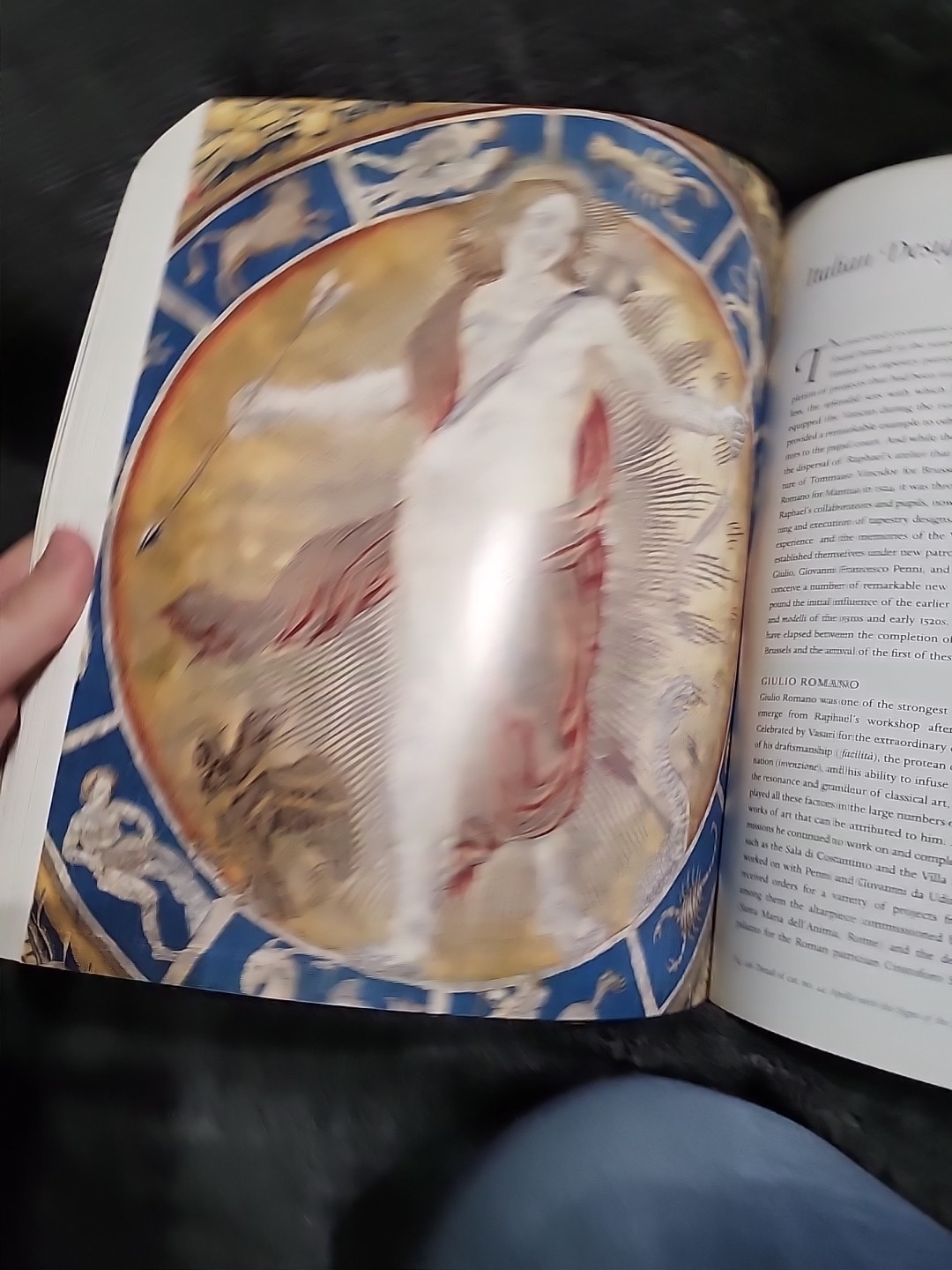 Tapestry in the Renaissance : Art and Magnificence by Thomas P. Campbell (2006,