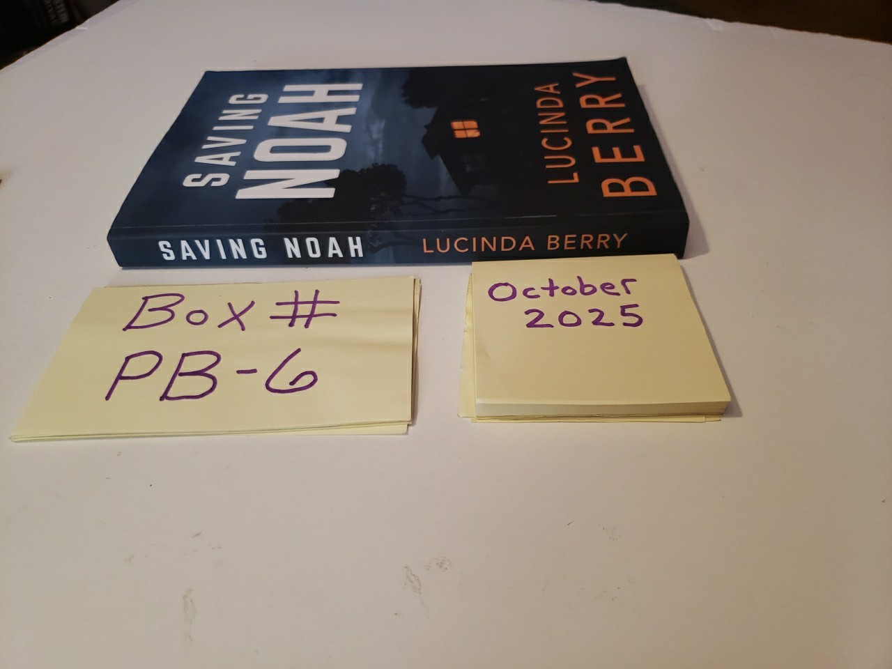Saving Noah Paperback Book 2017 Lucinda Berry
