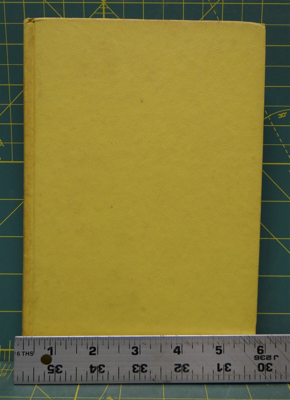 Summer Doctor by Charles H. Knickerbocker, 1963, Hardcover, 252 Pages
