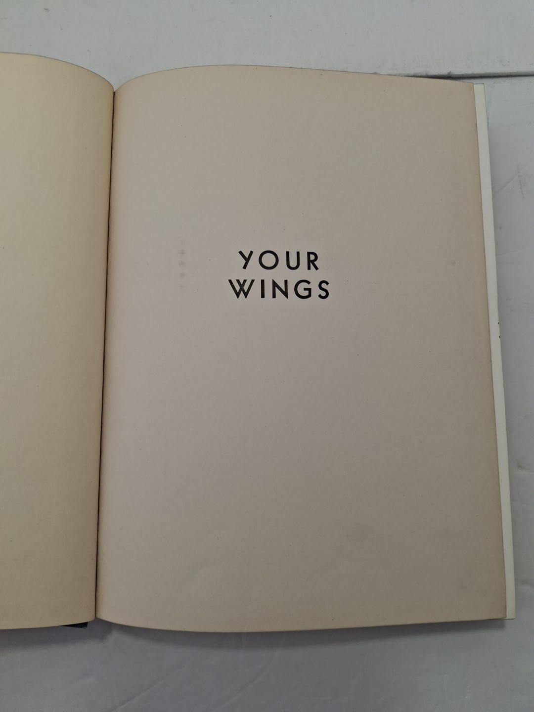 Your Wings by Assen Jordanoff Copyright 1938 HC,VTG
